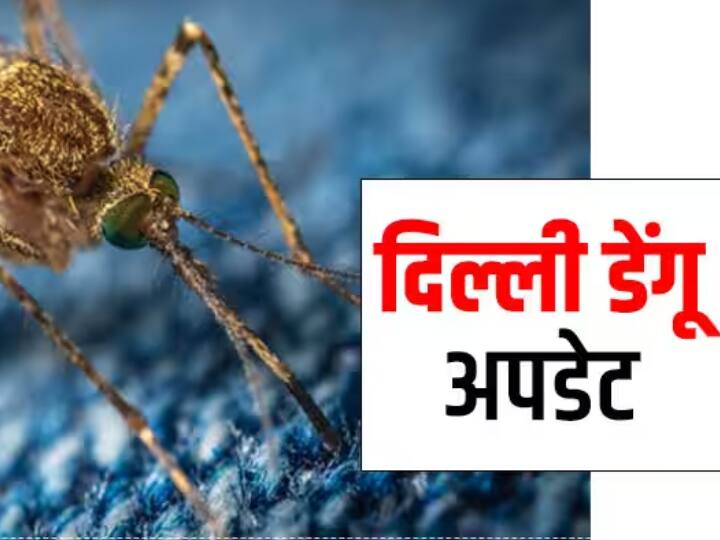Dengue-Malaria-Typhoid patients increasing rapidly in Delhi, health department issued alert ANN Delhi Dengue: दिल्ली में तेजी से बढ़ रहे डेंगू-मलेरिया-टाइफाइड के मरीज, स्वास्थ्य विभाग ने जारी किया अलर्ट!