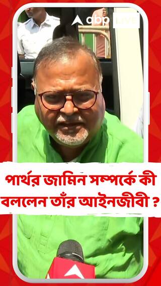 পার্থর জামিন সম্পর্কে কী বললেন তাঁর আইনজীবী ?