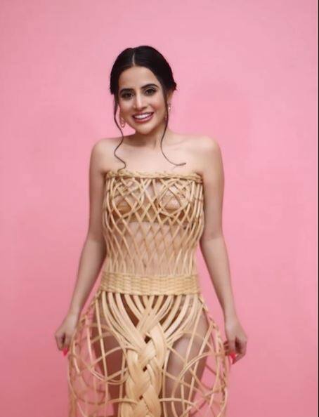 इसके अलावा उर्फी टीवी शो व रियलिटी शो आदि से भी कमाई करती हैं. ऐसा अनुमान है कि इन तरीकों से वे हर महीने करीब 2 करोड़ रुपये कमाती हैं.