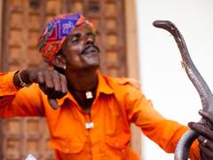 मुंबई में 13 मंजिला टावर की छत पर फंसा चार फीट लंबा अजगर, हैरान रह गए लोग, इस तरह किया गया रेस्क्यू