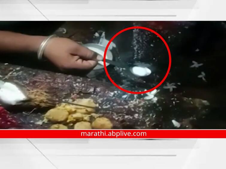 Video of Nandi drinking milk in temple goes viral reward of Rs 21 lakh from Andhashraddha Nirmoolan Samiti on claim Latur Viral Video : काय सांगता... मंदिरातील नंदी दूध पितोय? व्हिडीओ व्हायरल, अंनिसकडून 21 लाख रुपयांचं बक्षीस; नेमकं प्रकरण काय?