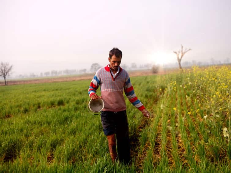 PM Modi To Introduce Urea Gold In Rajasthan Sulphur Coated Urea Fertilizer Farmers PM-KISAN PM Kisan Samriddhi Kendras PM Modi To Introduce 'Urea Gold' In Rajasthan. What Is This New Fertilizer, How Will It Help Farmers