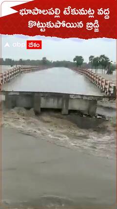 భూపాలపల్లి జిల్లాలో కొట్టుకుపోయిన బ్రిడ్జి