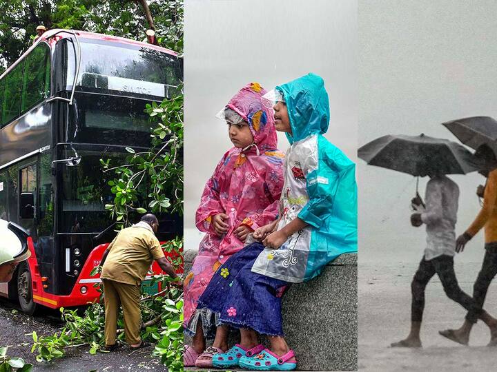 Maharashtra Rain Updates :  राज्यात ठिकठिकाणी आज पावसाने दमदार हजेरी लावली. काही जिल्ह्यांमध्ये नद्यांच्या पाण्याच्या पातळीत वाढ झाली आहे.