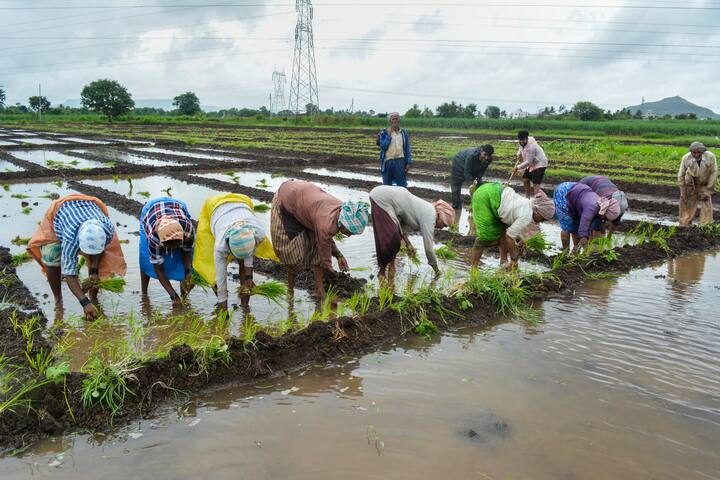 এই তালিকায় নিজের নাম তুলতে গেলে একজন চাষিকে কয়েকটি শর্ত মানতে হবে। কিন্তু আবেদন কীভাবে করতে হবে?