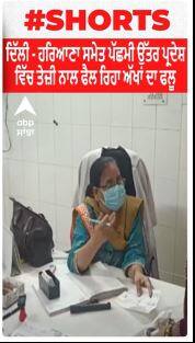 Delhi - Haryana ਸਮੇਤ ਪੱਛਮੀ ਉੱਤਰ ਪ੍ਰਦੇਸ਼ ਵਿੱਚ ਤੇਜ਼ੀ ਨਾਲ ਫੈਲ ਰਿਹਾ ਅੱਖਾਂ ਦਾ ਫਲੂ