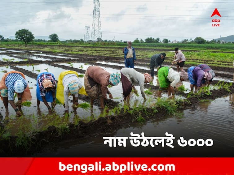 PM Kisan Samman Nidhi, how to apply for this project for farmers, know in details PM Kisan Samman Nidhi: বছরে মিলবে ৬০০০ টাকা! কেন্দ্রের এই প্রকল্পে নাম লেখাবেন কীভাবে?