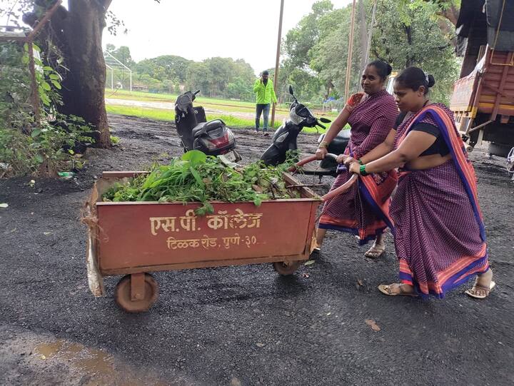 या महाविद्यालयातील मागच्या बाजूच्या मैदानावर शेकडो कर्मचारी कामाला लागते आहेत.