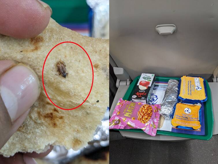 Passenger finds cockroach in food on Vande Bharat Express  Vande Bharat Express: వందేభారత్ రైలు ఆహారంలో బొద్దింక-ప్రయాణికుడి ట్వీట్ వైరల్