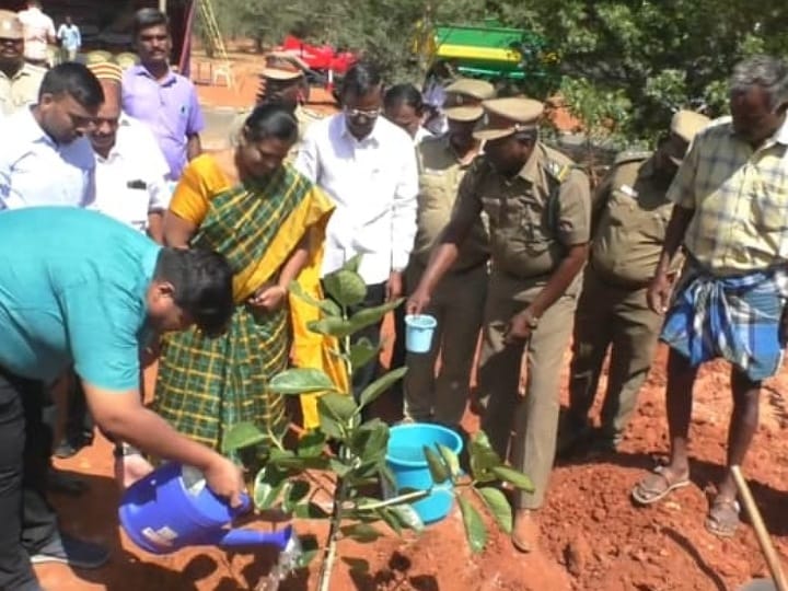 உலக இயற்கை பாதுகாப்பு தினம்:  கரூரில் மரக்கன்றுகள் நடும் விழா தொடக்கம்