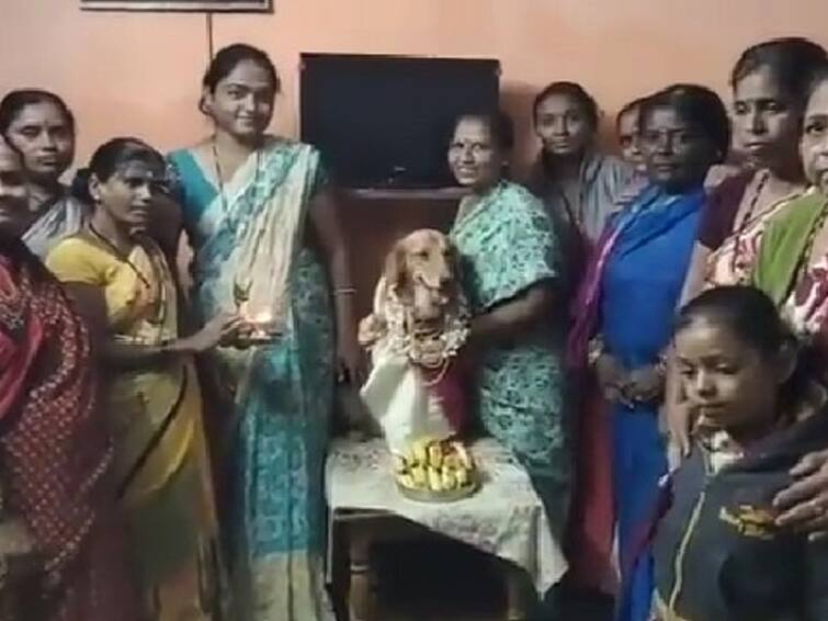 Viral News: Women In Karntaka Do Seemantham For Dog Viral News: శునకానికి సీమంతం - నగలు, పూలు పెట్టి హారతి ఇచ్చిన ముత్తయిదువులు