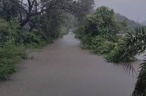 काही गावातील घरांमध्ये पाणी शिरल्याने त्यांचंही मोठ्या नुकसान झाला आहे