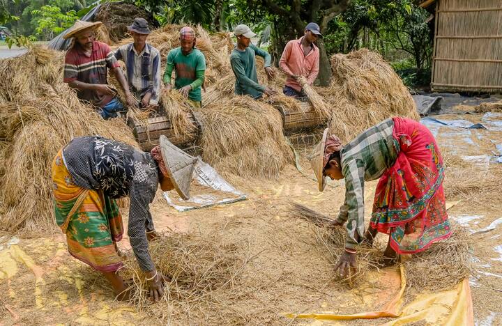 এই প্রকল্পের সুবিধা পেতে ল্যান্ডহোল্ডিং পেপার, আয়ের শংসাপত্রের মতো নথিও প্রয়োজন। আরও নির্দিষ্ট তথ্য় মিলবে এই ওয়েবসাইটেই। আবেদনের পরে যাবতীয় নথি সংশ্লিষ্ট রাজ্য প্রশাসন যাচাই করে সবুজ সঙ্কেত দিলে তবেই অ্যাকাউন্টে ঢুকবে কেন্দ্রের টাকা।