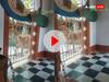 Gujarat Viral Video: मंदिर में पूजा कर रहे पुजारी के पास अचानक आ गया शेर, भगाने का तरीका देख हंसते-हंसते पेट पकड़ लेंगे