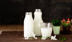 गाय के दूध से भी ज्यादा फायदेमंद होता है बकरी का दूध, जानिए इसके 6 फायदे