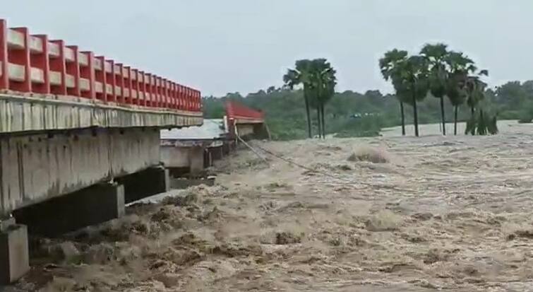 Vidarbha Rains Nine districts of Vidarbha exceeded the average rainfall Yavatmal 36 percent and Bhandara 25 percent more than the average Vidarbha Rains : विदर्भातील नऊ जिल्ह्यांनी ओलांडली पावसाची सरासरी, यवतमाळमध्ये 36 तर भंडाऱ्यात सरासरीपेक्षा 25 टक्के अधिक पाऊस