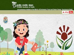 వైల్డ్ లైఫ్ ఇన్‌స్టిట్యూట్ ఆఫ్ ఇండియాలో 11 ప్రాజెక్ట్‌ స్టాఫ్‌ పోస్టులు