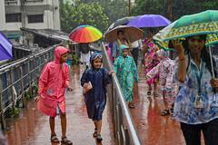 Mumbai Rain : मुंबापुरीत कोसळधार, पावसाची तुफान बॅटींग सुरुच