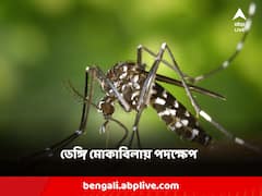 কলকাতা ছাড়িয়ে জেলাতেও ডেঙ্গির দাপট, মোকাবিলায় দফায় দফায় বৈঠকে একগুচ্ছ পদক্ষেপ