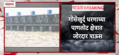 Bhandara Heavy Rain : भंडारा पाणलोट क्षेत्रात जोरदार पाऊस
