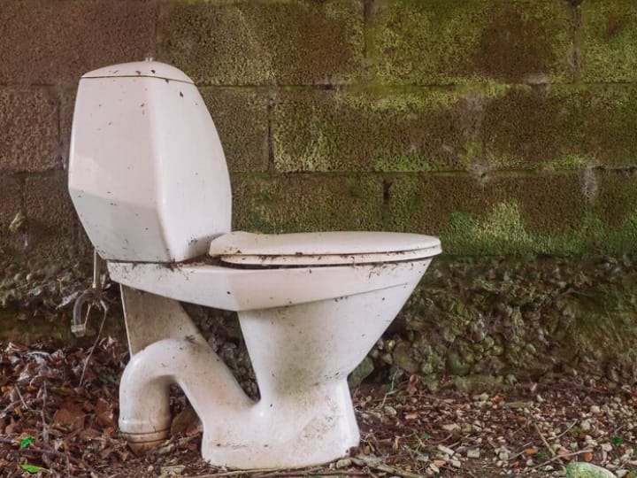 How To Prevent Infections Spread From Toilet Seat सावधान! गंदी टॉयलेट सीट का कभी न करें इस्तेमाल, हो सकते हैं ये 5 इंफेक्शन