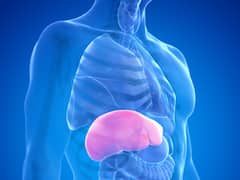 World Hepatitis Day 2023: Importance Of Yoga, Meditation And Healthy Eating For Hepatitis Patients