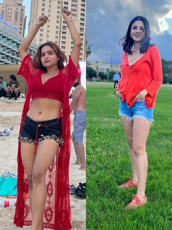 अब तक बिग बॉस के घर के मोस्ट एंटरटेनिंग कंटेस्टेंट कौन रहे हैं ?