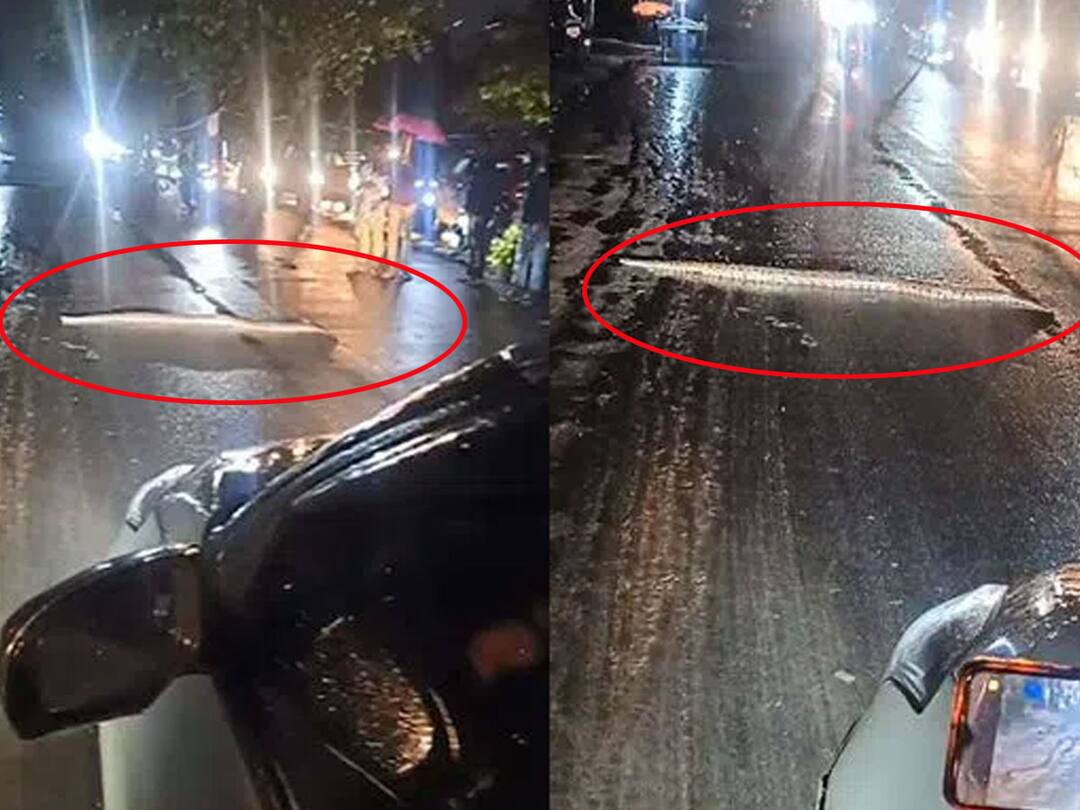 Telangana Heavy Rains Python found slithering on Kukatpally main road Telangana Heavy Rains: హైదరాబాద్‌ వాసులకు కొత్త కష్టాలు- వరదొస్తే రోడ్లపైకి వస్తున్న పాములు