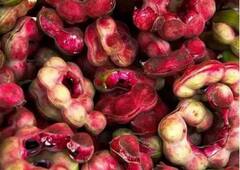 ਕਦੇ ਖਾਧੀ ਜੰਗਲ ਜਲੇਬੀ, ਝਾੜੀਆਂ 'ਚ ਮਿਲਣ ਵਾਲੇ ਸਵਾਦਿਸ਼ਟ ਫਲ ਦੇ ਫਾਇਦੇ ਜਾਣ ਕੇ ਹੋ ਜਾਓਗੇ ਹੈਰਾਨ