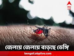 ফের ভয় ধরাচ্ছে ডেঙ্গি, জেলায় জেলায় বাড়ছে প্রকোপ