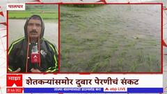 Palghar Heavy Rain : काल झालेल्या पावसाचा पालघरला मोठा फटका, शेतकऱ्यांसमोर दुबार पेरणीचं संकट
