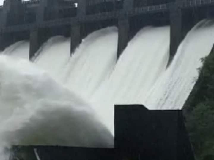 Dhamani Dam : पालघर जिल्ह्यात धरण क्षेत्रात मुसळधार पाऊस बरसला असून सूर्या नदीला पूर आल्याचं सांगण्यात येत आहे.