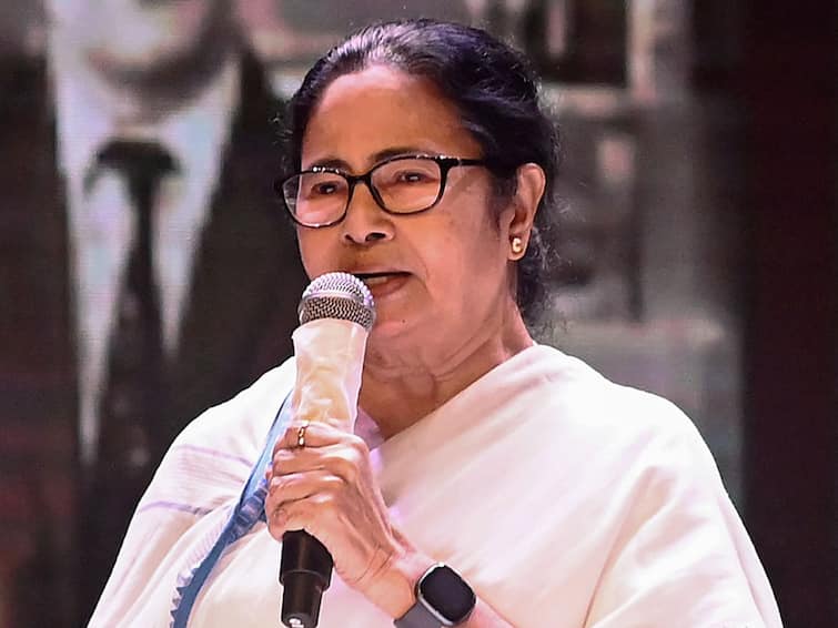 'Dengue Spreading From Bangladesh': Bengal CM Mamata Banerjee Says Testing Needed At Border 'Dengue Spreading From Bangladesh': Bengal CM Mamata Says Testing Needed At Border