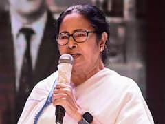 'Dengue Spreading From Bangladesh': Bengal CM Mamata Says Testing Needed At Border