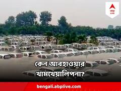 Monsoon Flood Update : উত্তর ভারতে বন্যার ভয়াল রূপ ! প্রকৃতির কেন এমন খামখেয়ালিপনা? জানাল গবেষণা