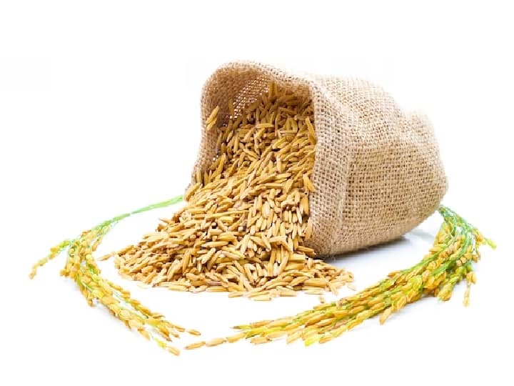 Modi Government Bans Export of de oiled rice bran till 30 november 2023 know details Export Ban: गैर-बासमती चावल के बाद इस तरह के तेल पर भी रोक, सरकार नहीं करेगी निर्यात