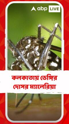 কলকাতায় ডেঙ্গির দোসর ম্যালেরিয়া, আক্রান্ত হয়ে হাসপাতালে ৯ জন