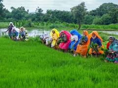 बारिश से कहीं भूस्खलन, कहीं बाढ़ तो कहीं खिल गए लोगों के चेहरे, तस्वीरों में देखें देशभर का मानसून