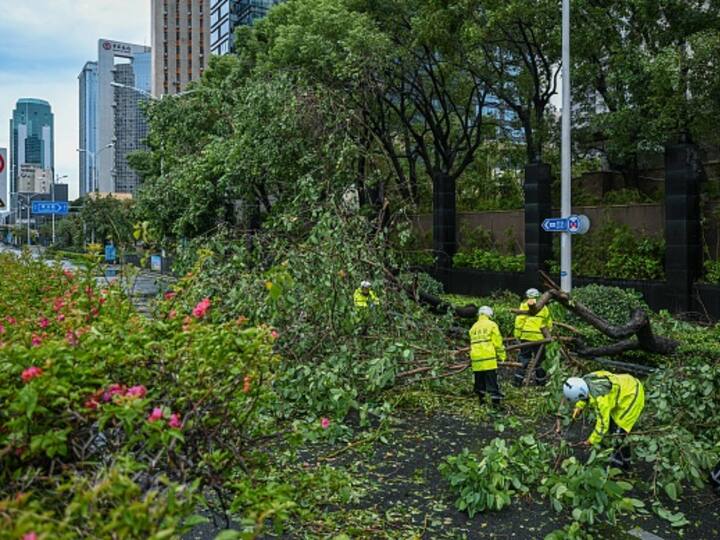 The typhoon is the most powerful to make landfall in China this year and second-strongest to hit southeastern Fujian province since 2016. Here workers are seen clearing a road blocked by fallen trees in Xiamen. (Source: Getty)