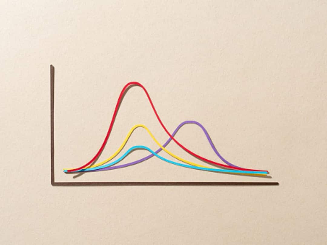 Parliamentary Panel Raises Question Over Delayed Economic Census Results Parliamentary Panel Raises Question Over Delayed Economic Census Results