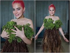 उर्फी जावेद  अब घास-फूस की ड्रेस से बदन छिपाकर निकलीं,  लोग बोले- 'पुदीना कितने का दिया दीदी'