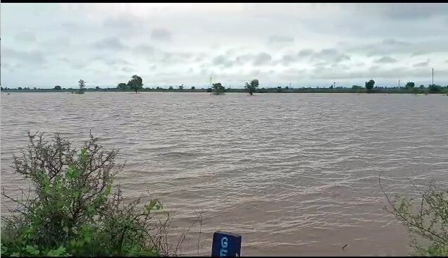 Gujarat Rain: ગુજરાતના આ વિસ્તારમાં લીલા દુષ્કાળનું સંકટ, જો વરસાદે ખમૈયા ન કર્યા તો જગતનો તાત થઈ જશે પાયમાલ