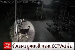 Surat | દીપડાએ સૂતા કૂતરા પર કર્યો હુમલો અને પછી..... જુઓ આ સીસીટીવી ફુટેજ