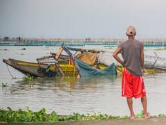 Typhoon Doksuri Lashes China And Taiwan, Damages Power Lines, Uproots Trees. In Pics