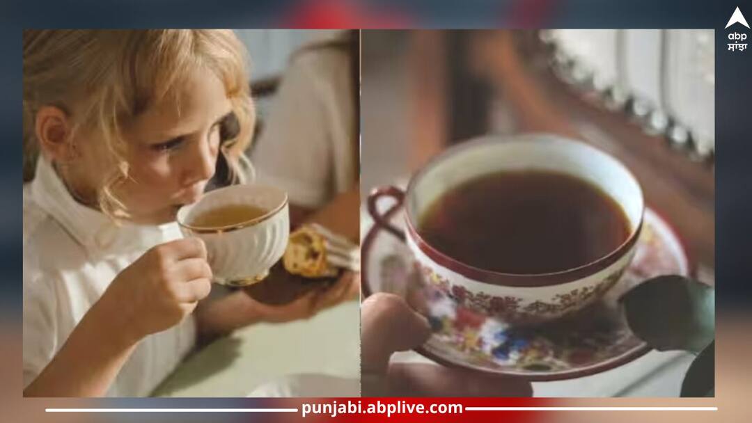 does drinking tea make someone black know truth from science details inside GK: ਚਾਹ ਪੀਓਗੇ ਤਾਂ ਕਾਲੇ ਹੋ ਜਾਓਗੇ... ਕੀ ਸੱਚਮੁੱਚ ਅਜਿਹਾ ਹੁੰਦਾ ਹੈ? ਵਿਗਿਆਨ ਤੋਂ ਜਾਣੋ ਜਵਾਬ