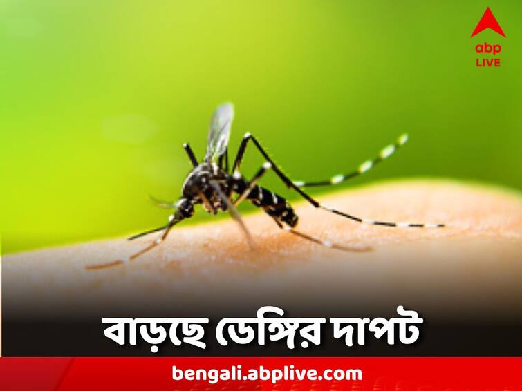 Dengue Update: Hospitals are overcrowded number of dengue patients is increasing by two degrees Dengue Update: হাসপাতালে রোগীদের ভিড়, দুই বর্ধমানে বাড়ছে ডেঙ্গি আক্রান্তের সংখ্যা