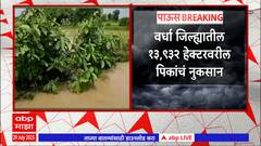 Wardha Rain: मुसळधार पावसामुळे वर्धा जिल्ह्यातील शेतीचं प्रचंड नुकसान; शेतकरी हवालदिल