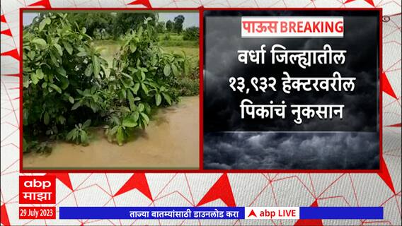 Wardha Rain: मुसळधार पावसामुळे वर्धा जिल्ह्यातील शेतीचं प्रचंड नुकसान; शेतकरी हवालदिल