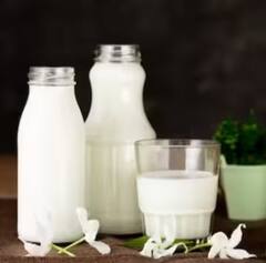 Milk Benefits: ਗਾਂ ਦੇ ਦੁੱਧ ਨਾਲੋਂ ਬੱਕਰੀ ਦਾ ਦੁੱਧ ਹੁੰਦਾ ਜ਼ਿਆਦਾ ਫਾਇਦੇਮੰਦ, ਜਾਣੋ ਇਸਦੇ 6 ਫਾਇਦੇ