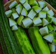 Health benefits:  ਤੋਰੀ ਖਾਣ ਨਾਲ ਸਿਹਤ ਨੂੰ ਮਿਲਦੇ ਇਹ 6 ਅਨੋਖੇ ਫਾਇਦੇ... ਤੁਸੀਂ ਵੀ ਜ਼ਰੂਰ ਇਸ ਨੂੰ ਡਾਈਟ 'ਚ ਸ਼ਾਮਿਲ ਕਰੋ